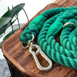 Luxe Everyday Dog Leash | Gold Hardware