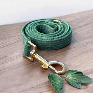 Luxe Everyday Dog Leash | Gold Hardware