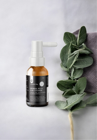 Botanical Herbal Ear Cleaner | Witch Hazel, Finger Lime & Lemon Myrtle