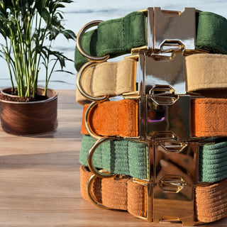 Luxe Fabric Dog Collar | Velvet & Corduroy with Gold Hardware