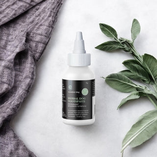 Herbal Dog Toothpaste | Peppermint, Papaya & Rosemary | 70g