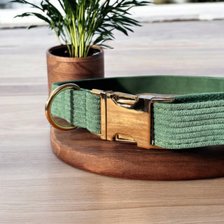 Luxe Fabric Dog Collar | Velvet & Corduroy with Gold Hardware