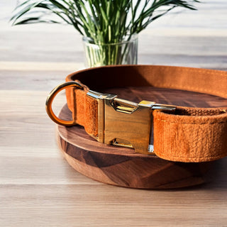 Luxe Fabric Dog Collar | Velvet & Corduroy with Gold Hardware