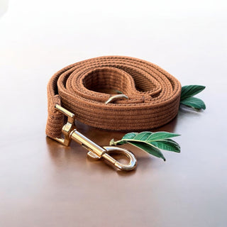 Luxe Everyday Dog Leash | Gold Hardware
