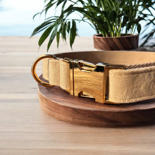 Luxe Fabric Dog Collar | Velvet & Corduroy with Gold Hardware